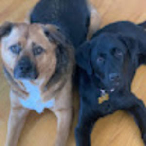 Meet your Posher, Mark